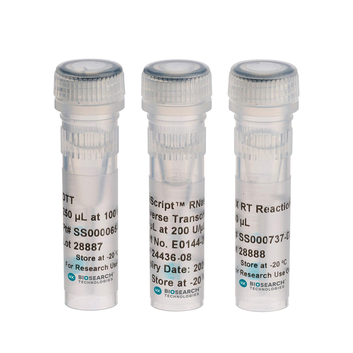 EpiScript RNase H- Reverse Transcriptase Kit 221 - PCR instruments, reagents and consumables - Biosearch Technologies