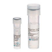 Exo-Minus Klenow DNA Polymerase (D355A, E357A) NXGENZ-004 - Molecular biology enzymes - Biosearch Technologies