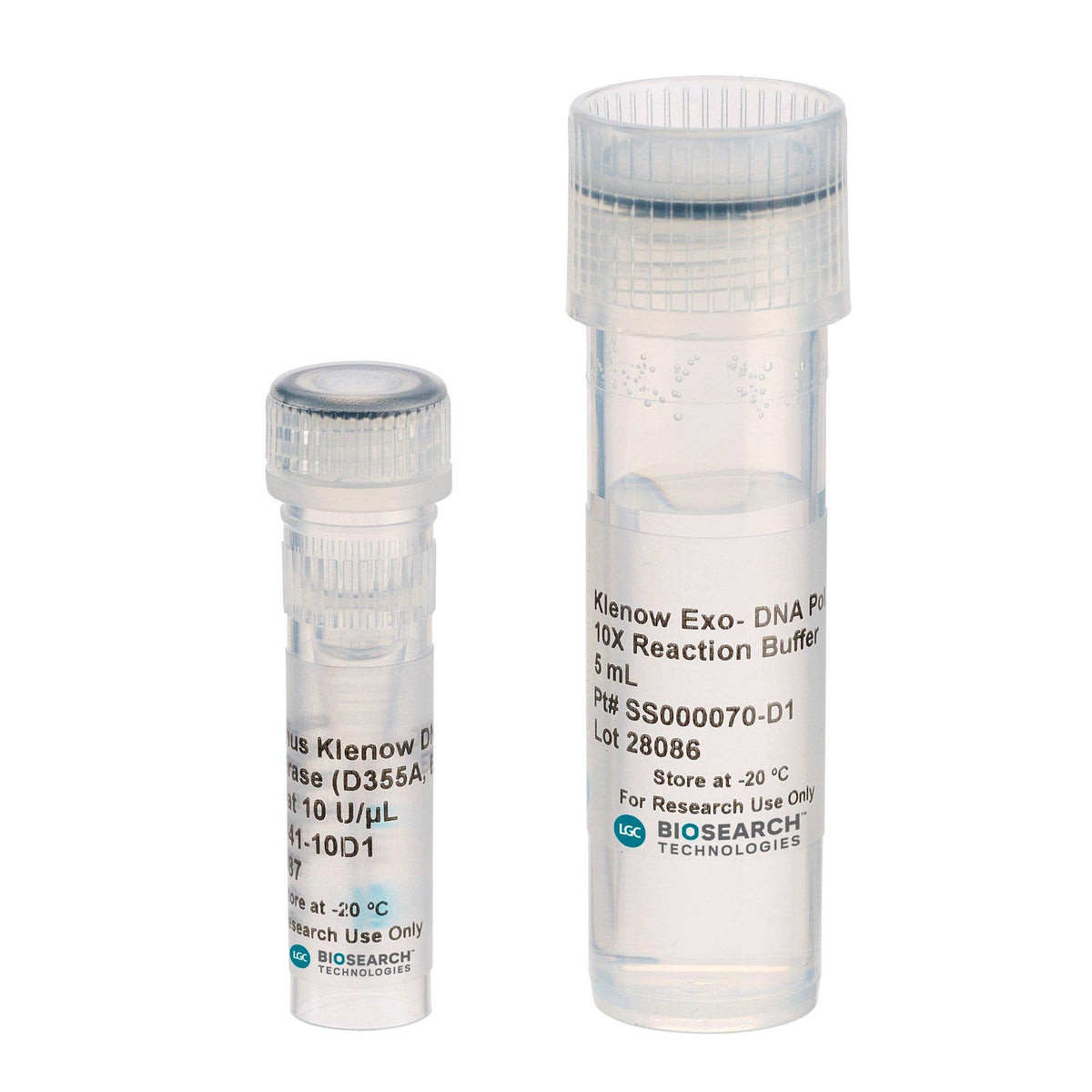 Exo-Minus Klenow DNA Polymerase (D355A, E357A) NXGENZ-004 - Molecular biology enzymes - Biosearch Technologies