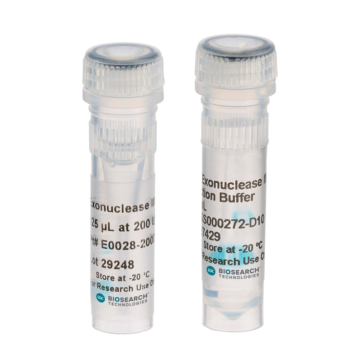 Exonuclease III EX4425K - Molecular biology enzymes - Biosearch Technologies