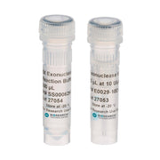 Exonuclease VII EN510250 - Molecular biology enzymes - Biosearch Technologies