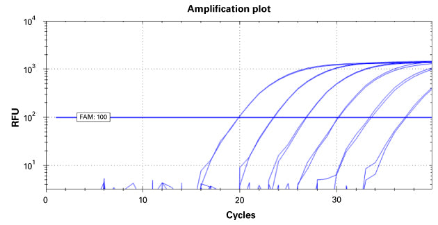 5X PrimePath™ Probe qPCR Kit, no ROX, GPR 638349 - Real-time PCR - Takara Bio