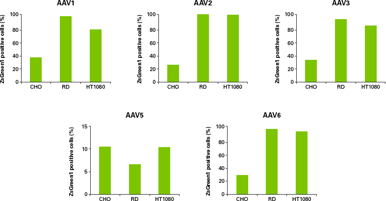 AAVpro® Purification Kit Maxi (All Serotypes) 6666 - Gene Function - Takara Bio