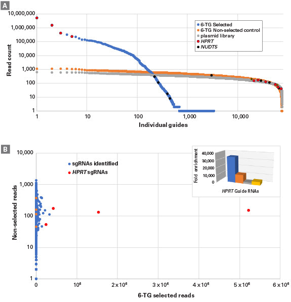 Guide-it™ CRISPR Genome-Wide Library PCR Kit 632651 - Gene function - Takara Bio