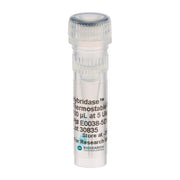 Hybridase Thermostable RNase H PCRAMP-022 - Molecular biology enzymes - Biosearch Technologies