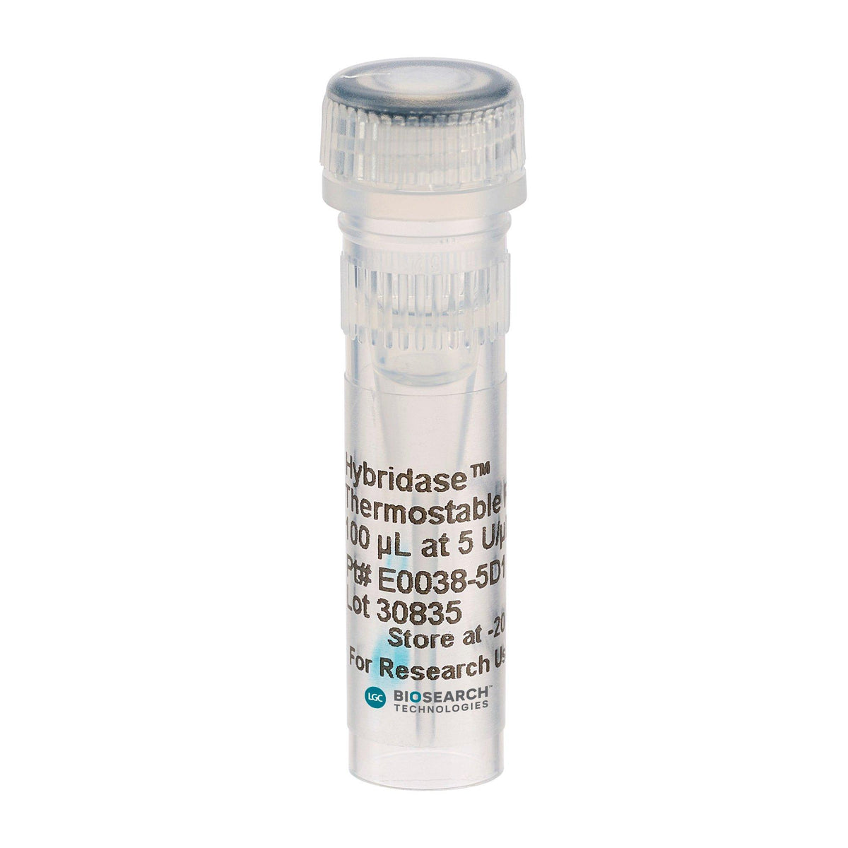 Hybridase Thermostable RNase H PCRAMP-022 - Molecular biology enzymes - Biosearch Technologies