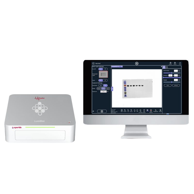LumiBlot Near-Field Chemi Imager LumiBlot - Hoefer Inc.