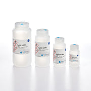 Lysis buffer NA SXLBPNA - Nucleic Acid Sample Preparation - Biosearch Technologies