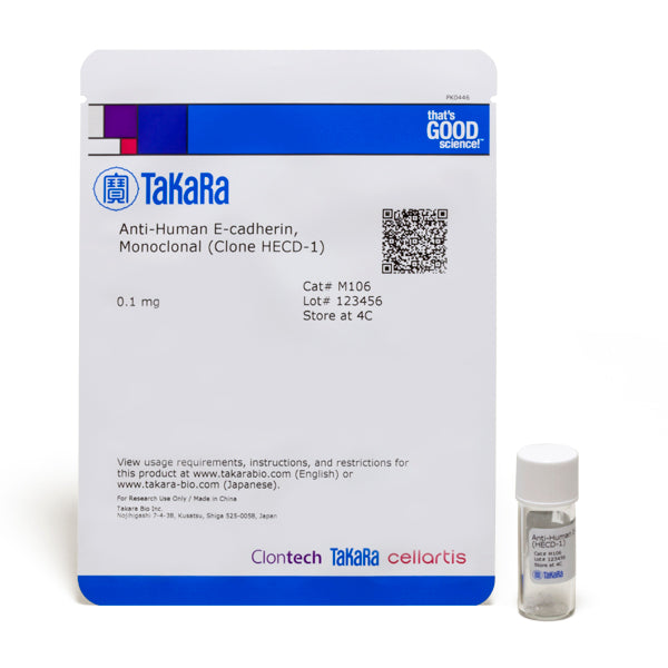 Monoclonal Anti-Human E-cadherin (Clone HECD-1) M106 - Antibodies and ELISA - Takara Bio
