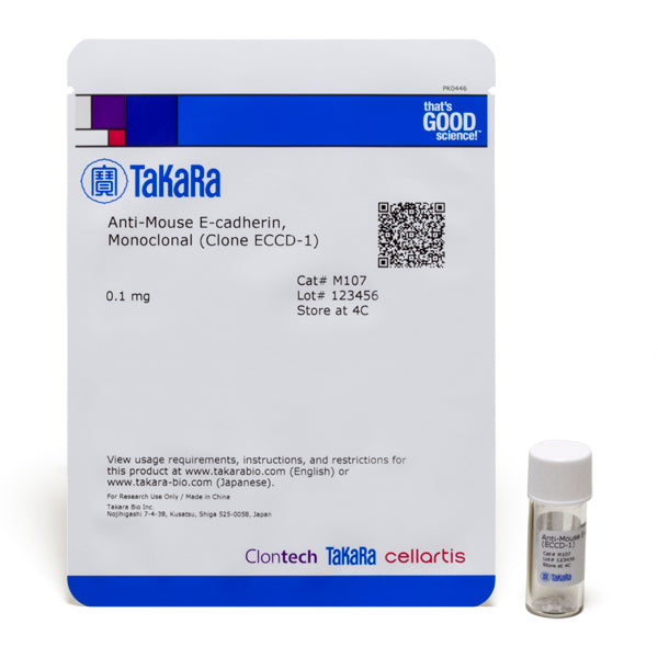 Monoclonal Anti-mouse E-cadherin (Clone ECCD-1) M107 - Antibodies and ELISA - Takara Bio