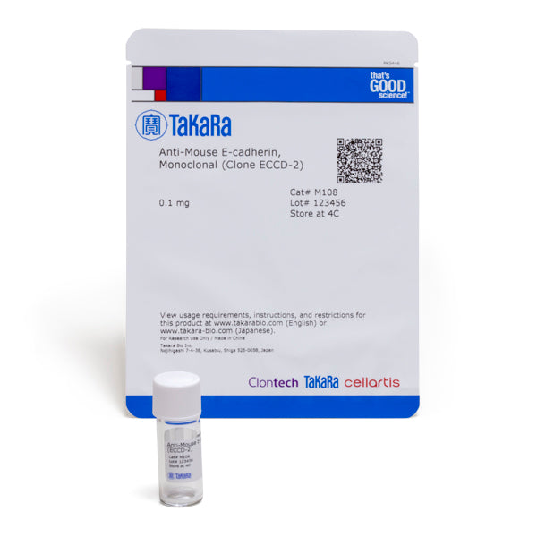 Monoclonal Anti-mouse E-cadherin (Clone ECCD-2) M108 - Antibodies and ELISA - Takara Bio