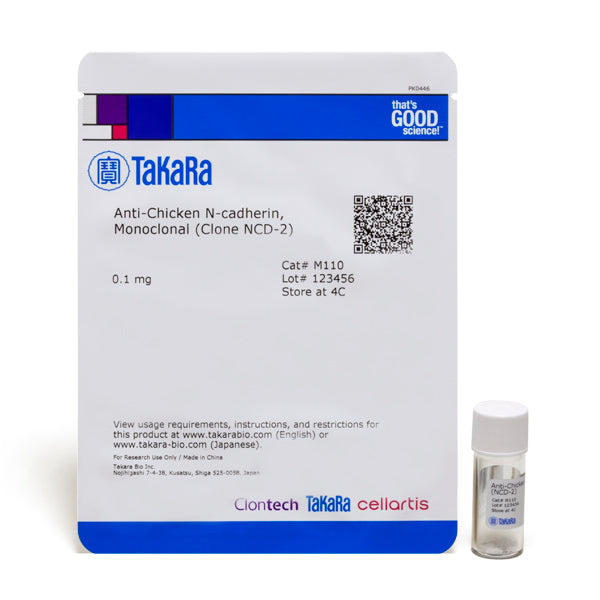Monoclonal Anti-chicken N-Cadherin (Clone NCD-2) M110 - Antibodies and ELISA - Takara Bio