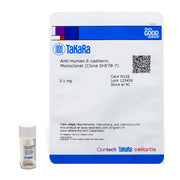 Monoclonal Anti-Human E-cadherin (Clone SHE78-7) M126 - Antibodies and ELISA - Takara Bio