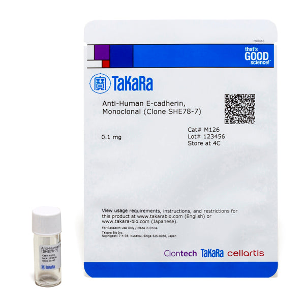 Monoclonal Anti-Human E-cadherin (Clone SHE78-7) M126 - Antibodies and ELISA - Takara Bio