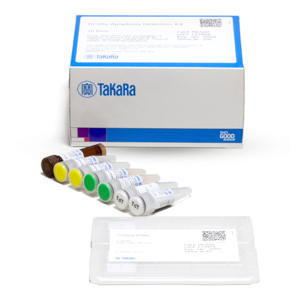 In Situ Apoptosis Detection Kit MK500 - Gene function - Takara Bio