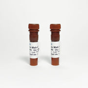 Human ACTH Monoclonal Antibody HRP TBS10010H-0.1MG - Antibodies - TriBioScience