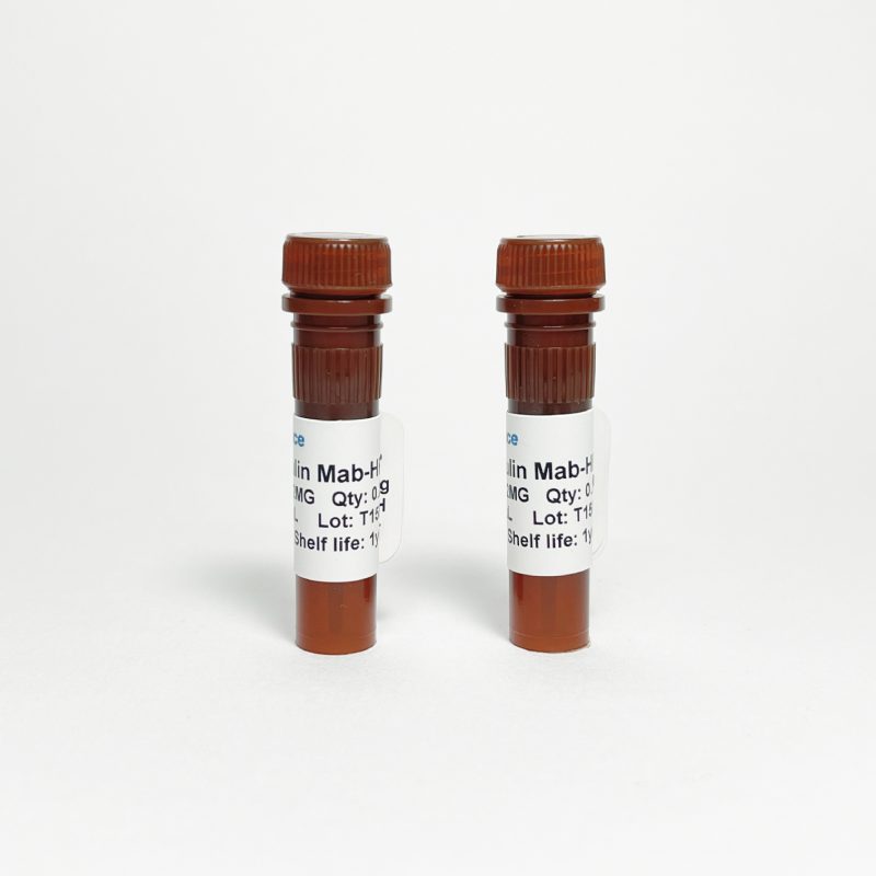 Human ACTH Monoclonal Antibody HRP TBS10010H-0.1MG - Antibodies - TriBioScience