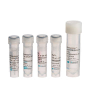 MasterAmp Tth DNA Polymerase TTH72250 - PCR instruments, reagents and consumables - Biosearch Technologies
