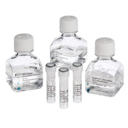 MasterPure Gram Positive DNA Purification Kit MGP04100 - Nucleic Acid Sample Preparation - Biosearch Technologies