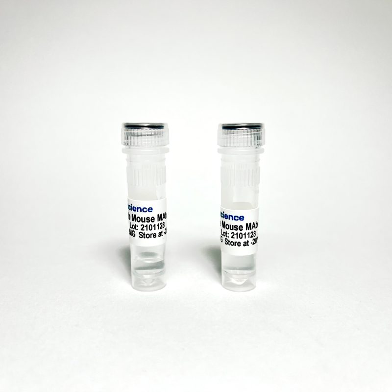 Phospho-Tau Thr217 (p-tau217) Mouse Monoclonal Antibody for ELISA, Western Blot and IHC TBS10022-0.1mg - Antibodies