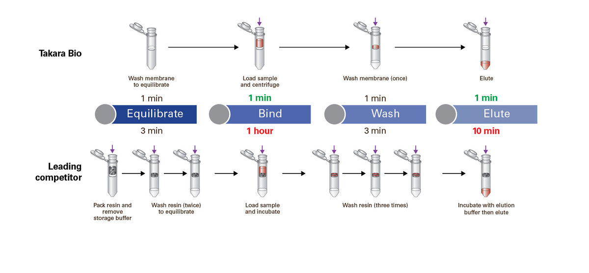 Capturem™ IP & Co-IP Kit 635721 - Protein research - Takara Bio