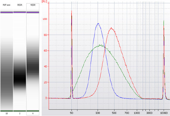 SMART-Seq® Mouse BCR (with UMIs) 634353 - Next-generation sequencing - Takara Bio