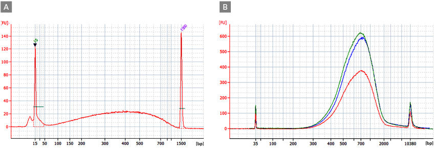 SMART-Seq® Mouse BCR (with UMIs) 634351 - Next-generation sequencing - Takara Bio