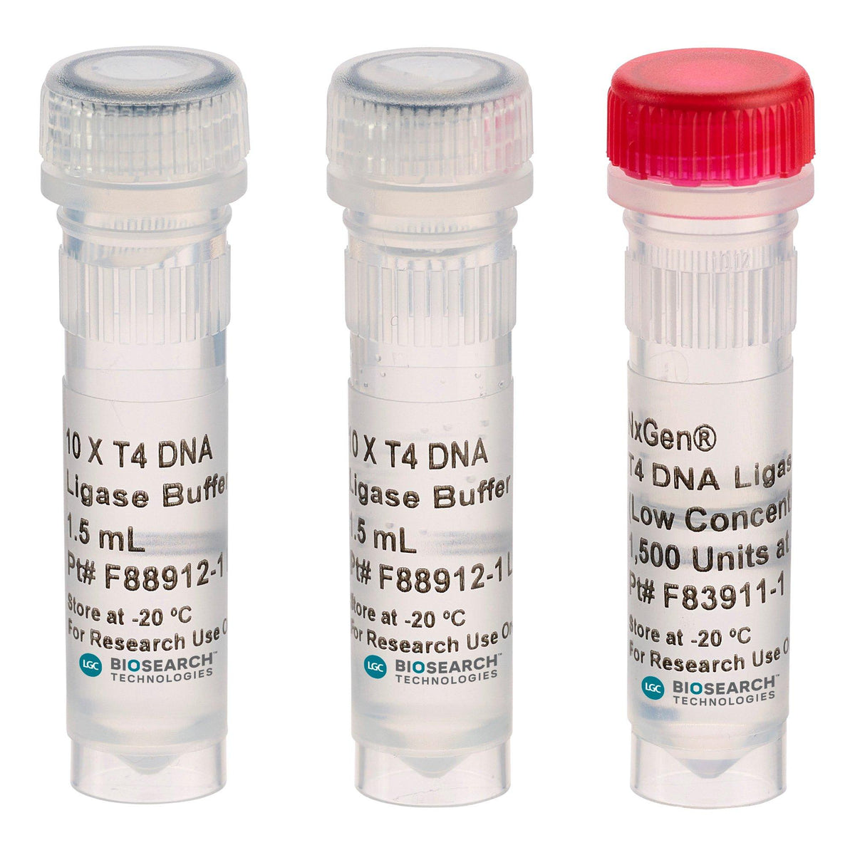 NxGen T4 DNA Ligase NXGENZ-001 - Molecular biology enzymes - Biosearch Technologies