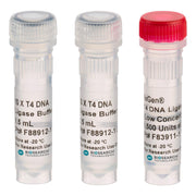 NxGen T4 DNA Ligase NXGENZ-001 - Molecular biology enzymes - Biosearch Technologies