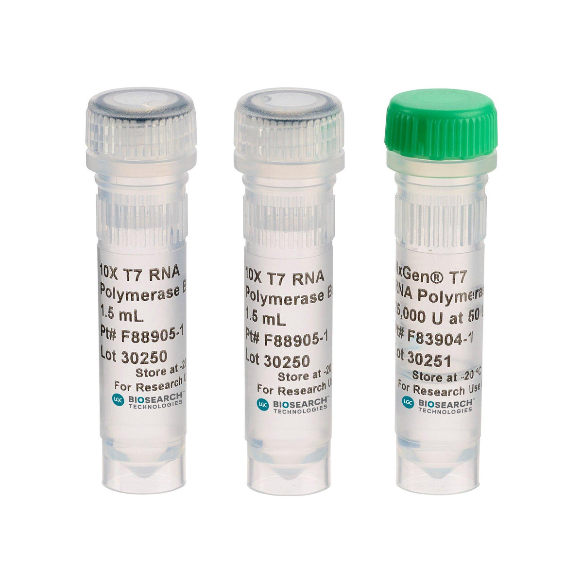 NxGen T7 RNA Polymerase 30223-1 - Molecular biology enzymes - Biosearch Technologies