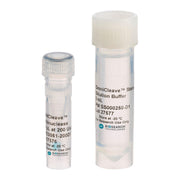OmniCleave Endonuclease OC7850 - Molecular biology enzymes - Biosearch Technologies