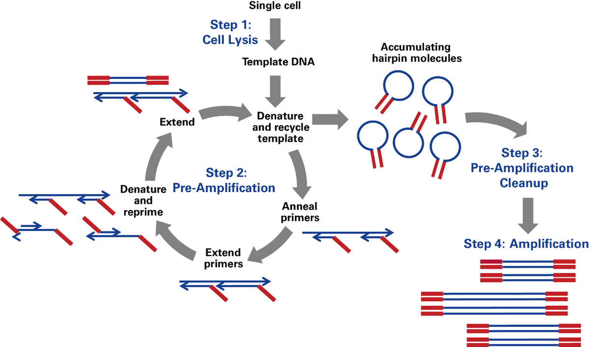 PicoPLEX® Gold Single Cell DNA-seq Kit R300669 - Next Generation Sequencing - Takara Bio