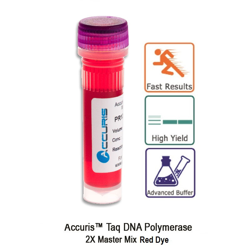 Accuris Taq Master Mix Red Dye, 2X conc., 1000 reactions PR1001-R-1000 - Accuris Instruments™ - Benchmark Scientific