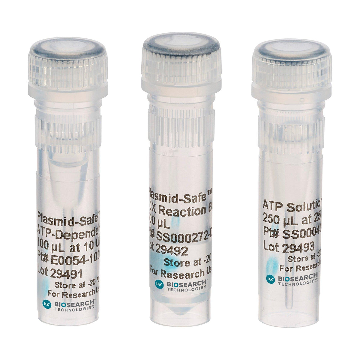Plasmid-Safe ATP-Dependent DNase MBENZ-002 - Molecular biology enzymes - Biosearch Technologies