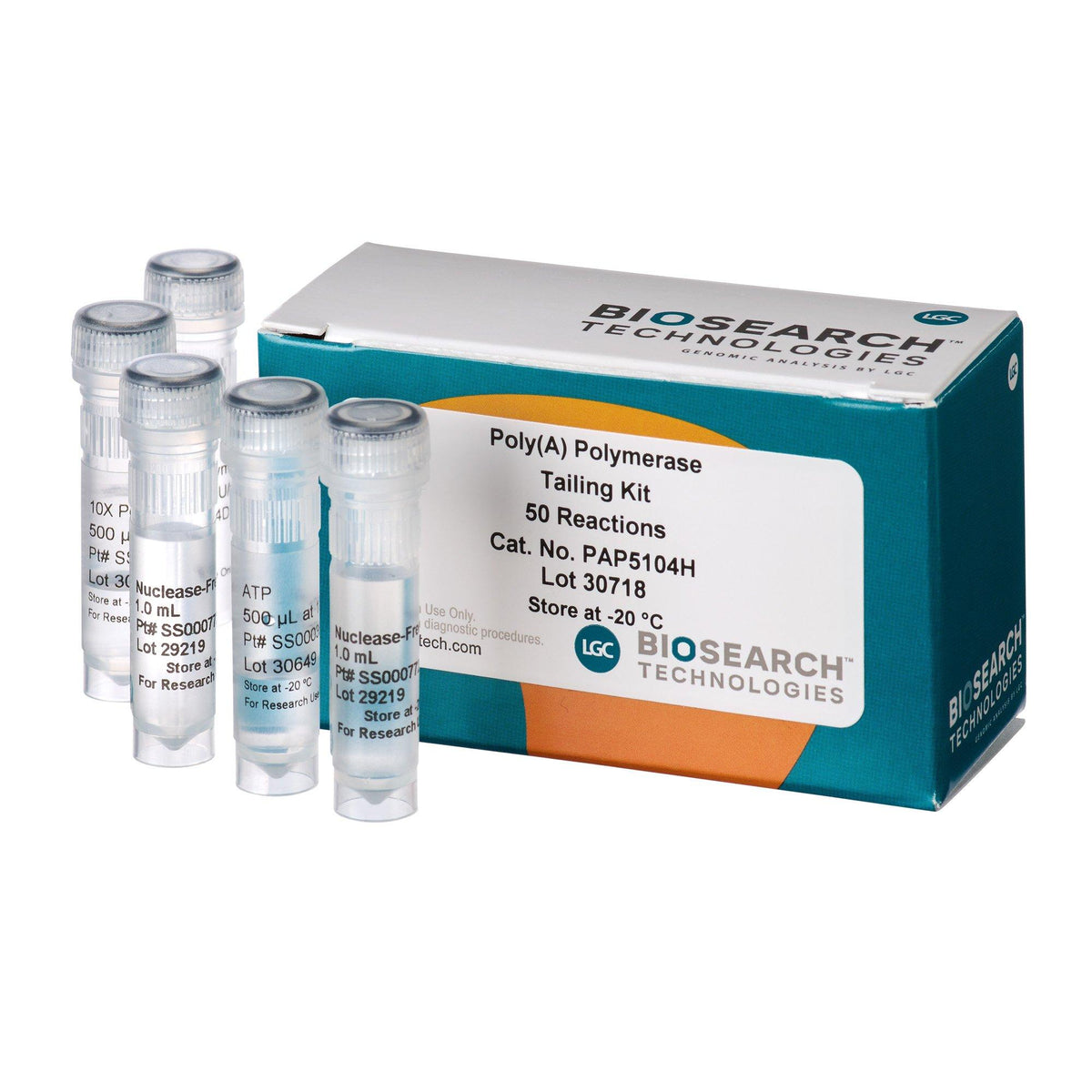 Poly(A) Polymerase Tailing Kit PAP5104H - Molecular biology enzymes - Biosearch Technologies