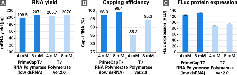 PrimeCap™ T7 RNA Polymerase (low dsRNA), HQ 2561A - mRNA and cDNA synthesis - Takara Bio