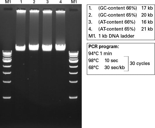 PrimeSTAR® LongSeq DNA Polymerase R055B - PCR - Takara Bio