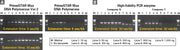 PrimeSTAR® Max DNA Polymerase Ver.2 R047B - PCR - Takara Bio