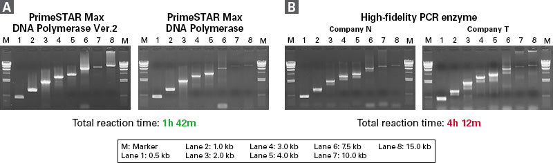 PrimeSTAR® Max DNA Polymerase Ver.2 R047B - PCR - Takara Bio