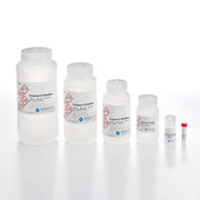 Protease K solution (20 mg/mL) SBEAD-003 - Nucleic Acid Sample Preparation - Biosearch Technologies