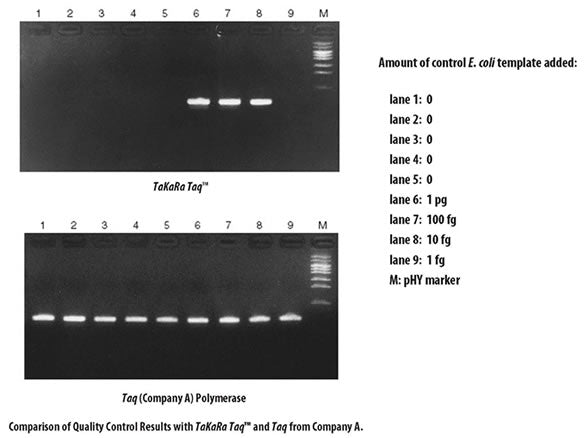 Premix Taq™ DNA Polymerase (TaKaRa Taq™ Version 2.0) R004A - PCR - Takara Bio