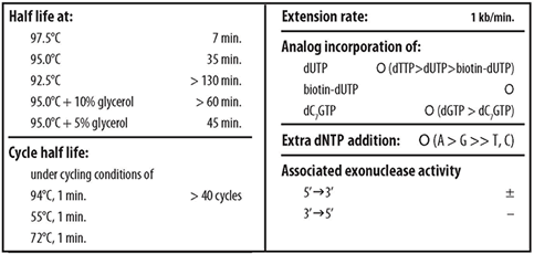 Premix Taq™ DNA Polymerase (TaKaRa Taq™ Version 2.0) R004A - PCR - Takara Bio