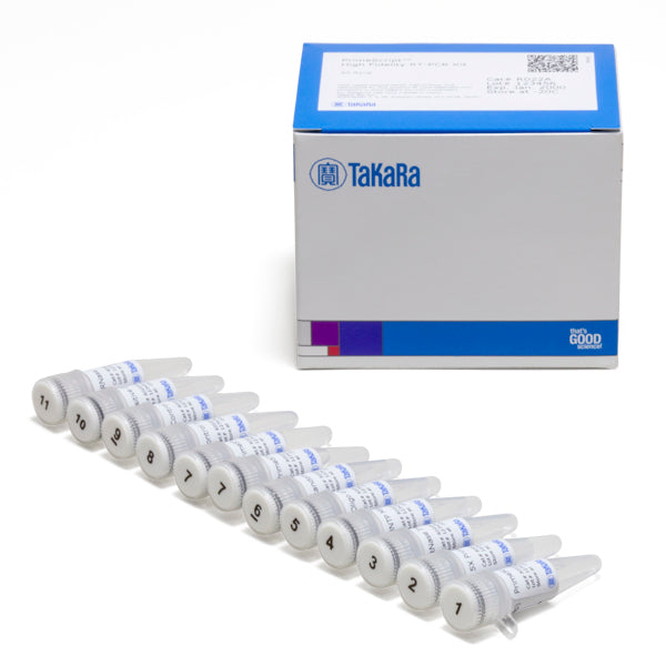 PrimeScript™ High Fidelity RT-PCR Kit R022A - mRNA and cDNA synthesis - Takara Bio