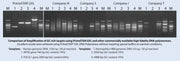PrimeSTAR® GXL DNA Polymerase R050B - PCR - Takara Bio
