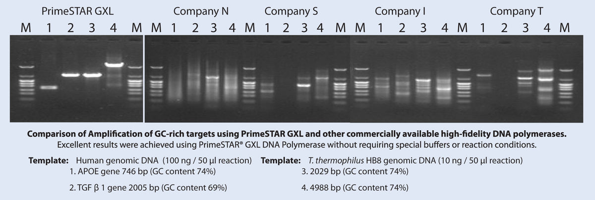 PrimeSTAR® GXL DNA Polymerase R050B - PCR - Takara Bio