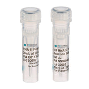 RNA 5' Polyphosphatase RP8092H - Molecular biology enzymes - Biosearch Technologies