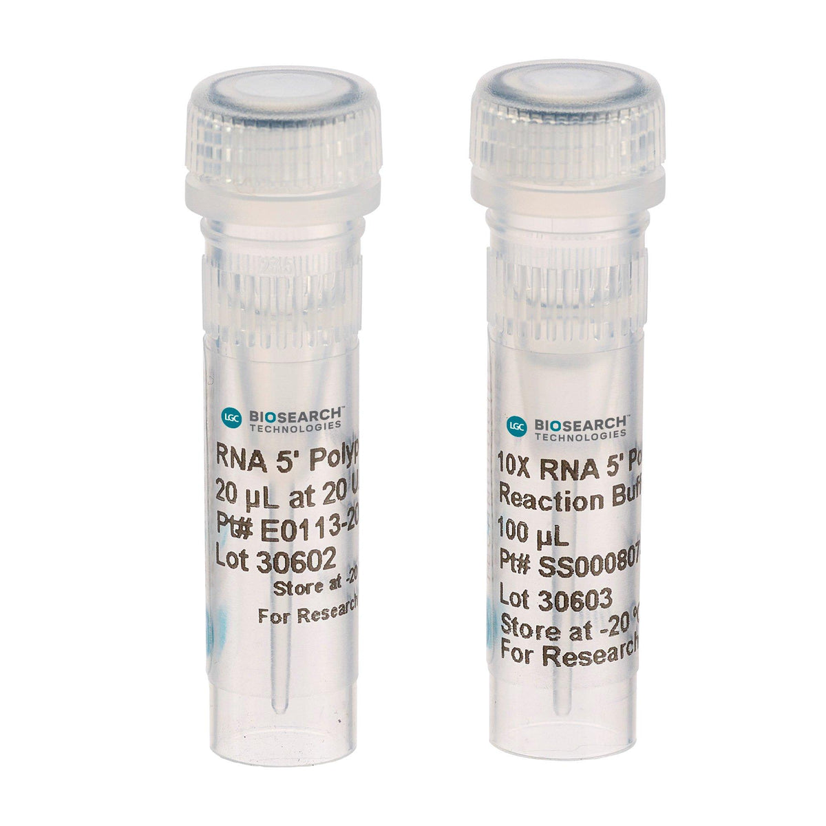RNA 5' Polyphosphatase RP8092H - Molecular biology enzymes - Biosearch Technologies