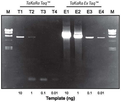 TaKaRa Ex Taq® DNA Polymerase RR001C - PCR - Takara Bio