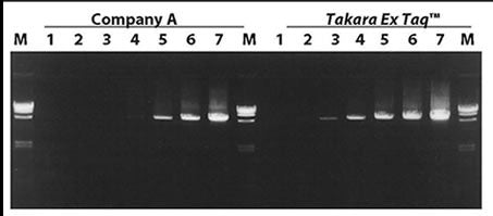 Premix Ex Taq™ DNA Polymerase Hot Start Version RR030A - PCR - Takara Bio
