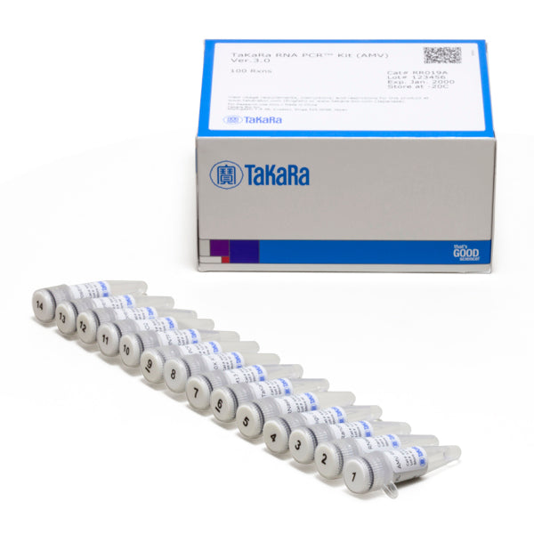 RNA PCR Kit (AMV) Version 3.0 RR019A - mRNA and cDNA synthesis - Takara Bio